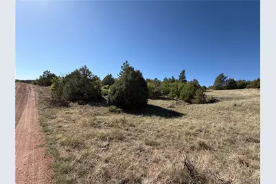 20 Molly Lane, Cotopaxi, CO 81223 - Photo 37