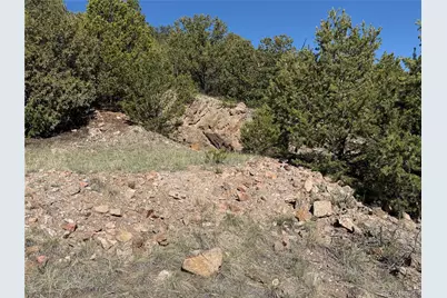 20 Molly Lane, Cotopaxi, CO 81223 - Photo 35