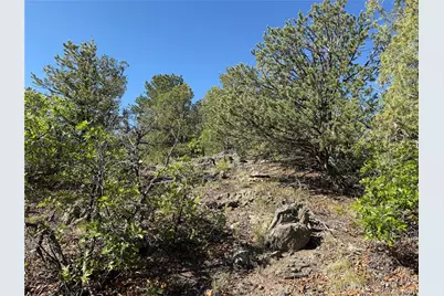 20 Molly Lane, Cotopaxi, CO 81223 - Photo 17