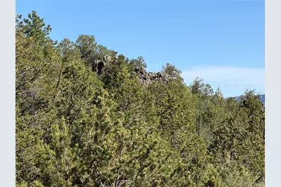 20 Molly Lane, Cotopaxi, CO 81223 - Photo 3
