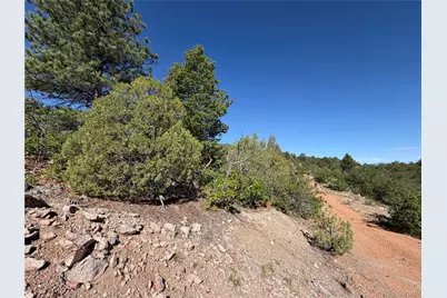 20 Molly Lane, Cotopaxi, CO 81223 - Photo 41