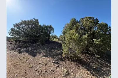 20 Molly Lane, Cotopaxi, CO 81223 - Photo 5