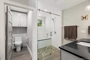 31347 Tamarisk Ln, Evergreen, CO 80439 - Photo 25