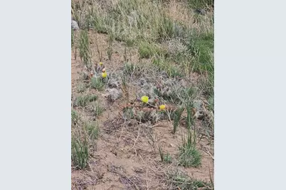 12645 Nn 17th Street, Blanca, CO 81123 - Photo 11