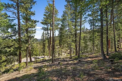6855 Lynx Lair Road, Evergreen, CO 80439 - Photo 17