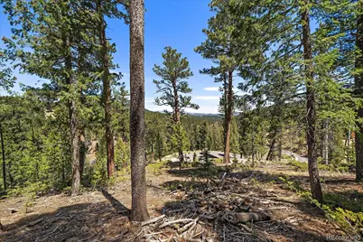 6855 Lynx Lair Road, Evergreen, CO 80439 - Photo 13