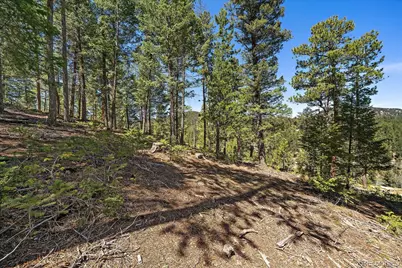 6855 Lynx Lair Road, Evergreen, CO 80439 - Photo 11