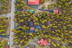 55 Rafferty Dr, Leadville, CO 80461 - Photo 43