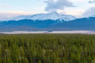 55 Rafferty Dr, Leadville, CO 80461 - Photo 49