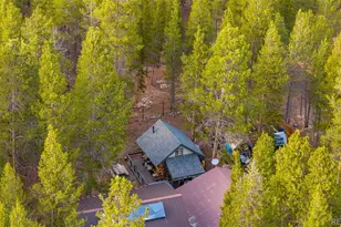 55 Rafferty Dr, Leadville, CO 80461 - Photo 41