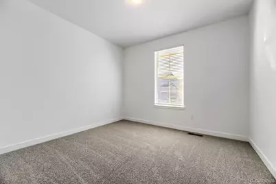 3953 Buttongrass Trail, Castle Rock, CO 80108 - Photo 11