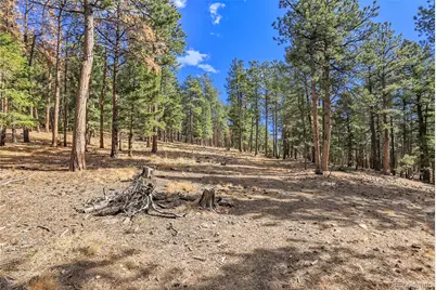 27551 Molly Drive, Conifer, CO 80433 - Photo 23