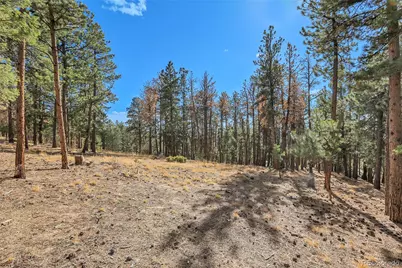 27551 Molly Drive, Conifer, CO 80433 - Photo 27