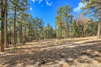 27551 Molly Drive, Conifer, CO 80433 - Photo 25