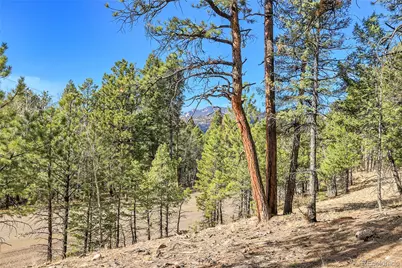 27551 Molly Drive, Conifer, CO 80433 - Photo 9