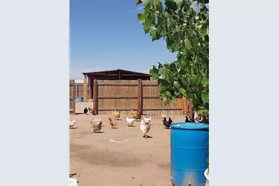 6642 Co Rd I, Wiggins, CO 80654 - Photo 11