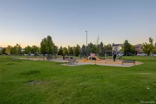 3974 Malta St, Denver, CO 80249 - Photo 29