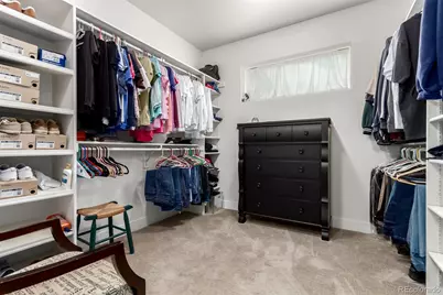 909 Signal Court, Timnath, CO 80547 - Photo 27