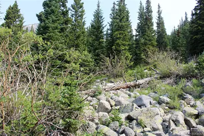 01 Miners Road, Idaho Springs, CO 80461 - Photo 5