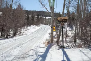 4200 Lodgepole Cir, Silverthorne, CO 80498 - Photo 43