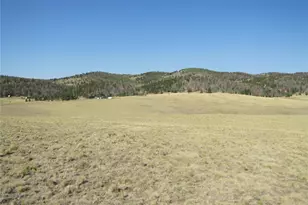 1027 Bolster Dr, Hartsel, CO 80449 - Photo 1