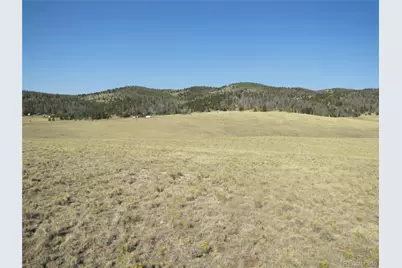 1027 Bolster Drive, Hartsel, CO 80449 - Photo 11