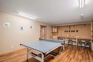 423 Prunes Pl, Fairplay, CO 80440 - Photo 21