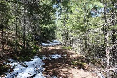 00 Missouri Flats Road, Central City, CO 80427 - Photo 7