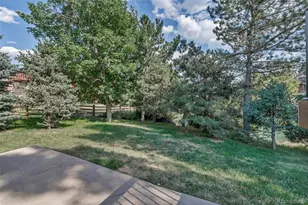 8056 Windwood Way, Parker, CO 80134 - Photo 43