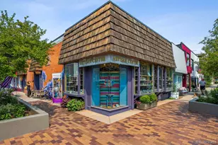 495 Columbine St, Denver, CO 80206 - Photo 39