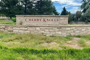 6955 S Cook Way, Centennial, CO 80122 - Photo 9