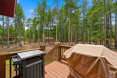 9299 Black Mountain Drive, Conifer, CO 80433 - Photo 31