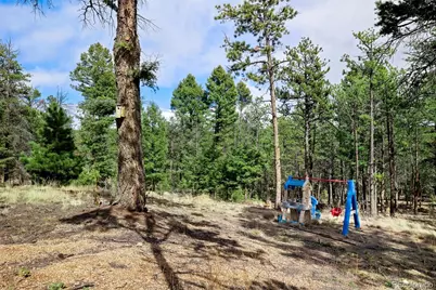 858 Fossil Creek Road, Florissant, CO 80816 - Photo 43