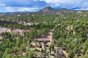 858 Fossil Creek Rd, Florissant, CO 80816 - Photo 47