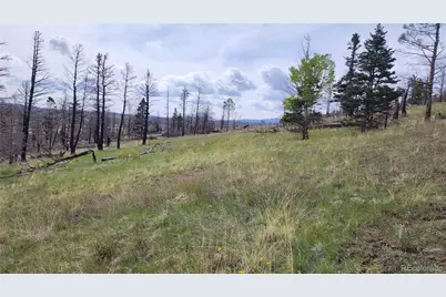 449 Duckworth Drive, Fort Garland, CO 81133 - Photo 3