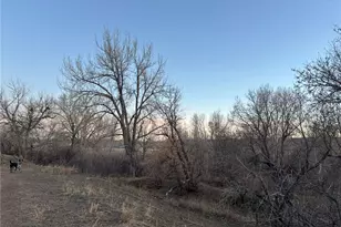 826 S Vance St, Lakewood, CO 80226 - Photo 23