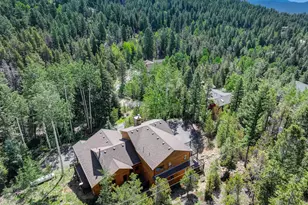 11549 Nichols Way, Conifer, CO 80433 - Photo 17