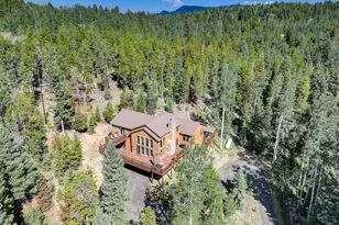 11549 Nichols Way, Conifer, CO 80433 - Photo 19