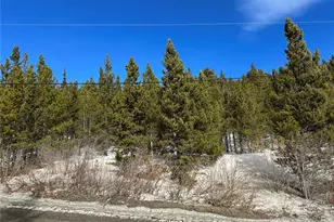 691 Alice Rd, Idaho Springs, CO 80452 - Photo 1