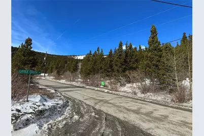 691 Alice Road, Idaho Springs, CO 80452 - Photo 5