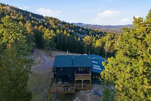 30908 Isenberg Ln, Evergreen, CO 80439 - Photo 41