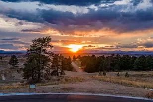 7975 Claret Cup Ct, Parker, CO 80134 - Photo 15