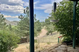 362 Raven Dr, Bailey, CO 80421 - Photo 31