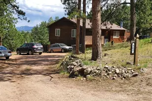 362 Raven Dr, Bailey, CO 80421 - Photo 3