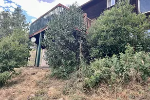 362 Raven Dr, Bailey, CO 80421 - Photo 27