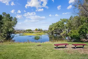 3413 W 114th Cir, Westminster, CO 80031 - Photo 43