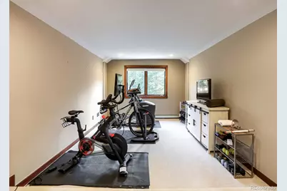 32142 Black Widow Drive, Conifer, CO 80433 - Photo 39
