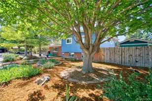 1403 Sanborn Pl, Longmont, CO 80501 - Photo 3