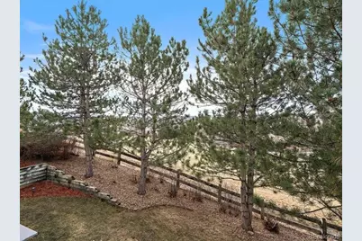 1388 Rosemary Drive, Castle Rock, CO 80109 - Photo 41