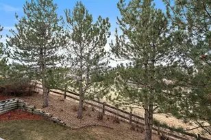 1388 Rosemary Dr, Castle Rock, CO 80109 - Photo 41